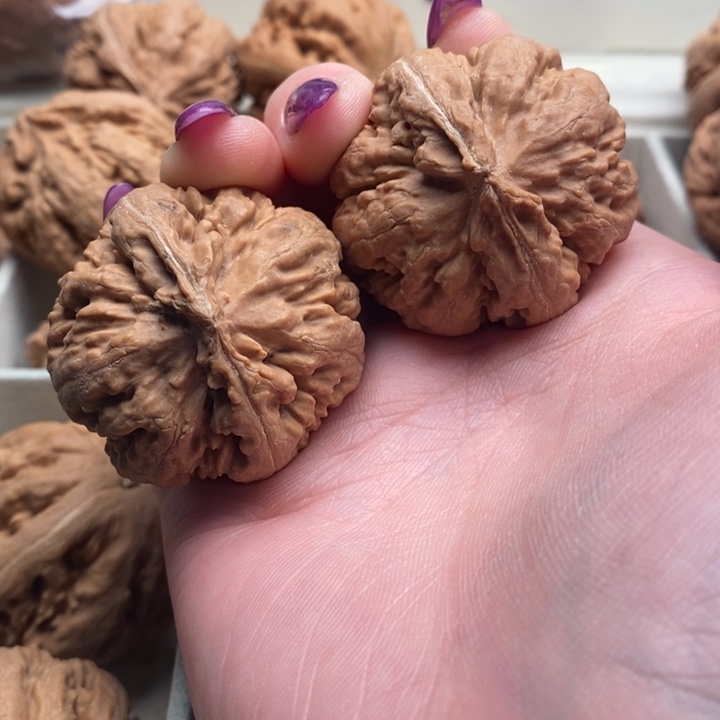 哆***孟吊坠文玩核桃霸王龙