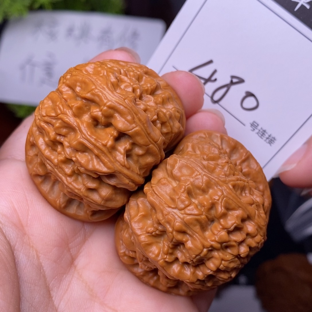 文玩核桃把件480闷尖球白狮子头4.5