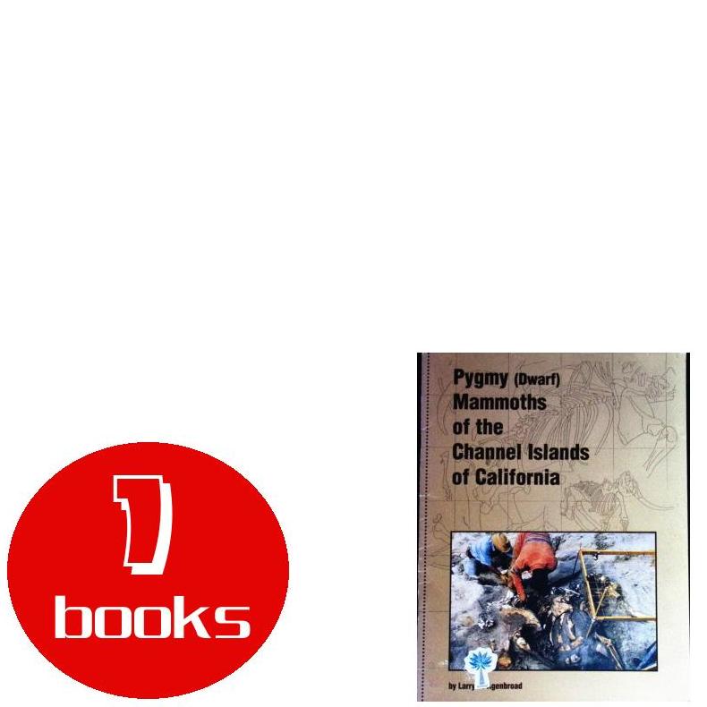 英文原版绘本1本94250612127