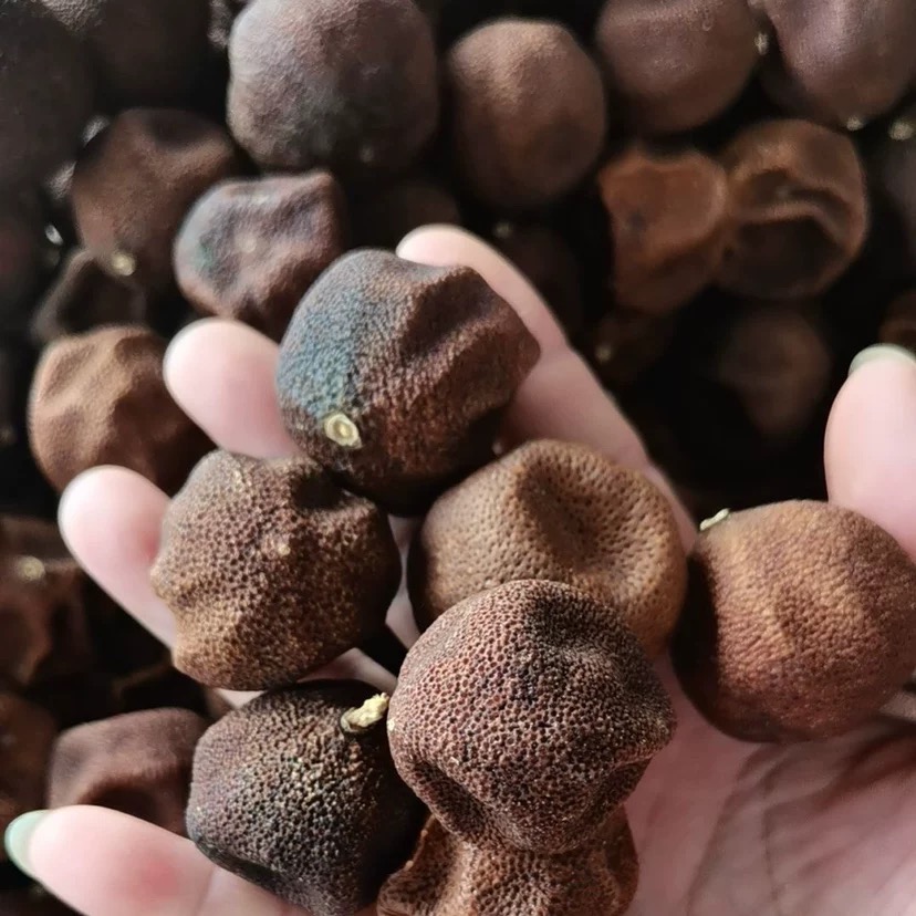 【开播福利】2018年梅江开胃小柑宝拍一发五