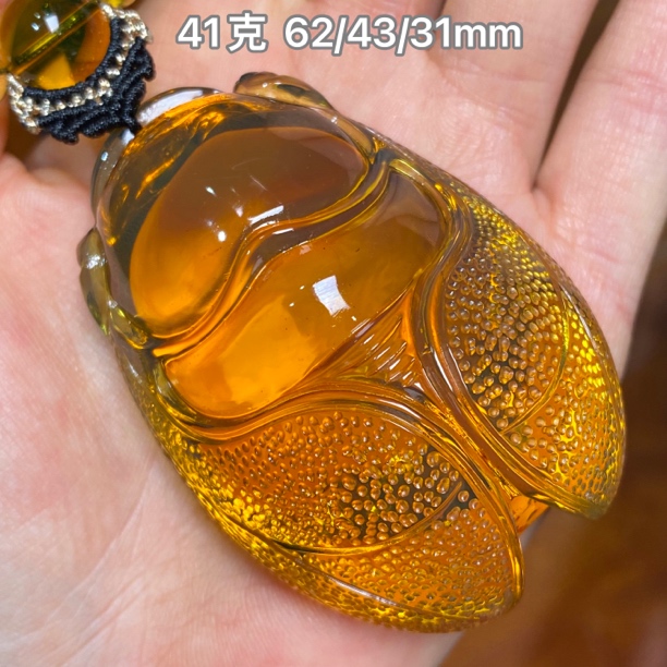 【小伊琥珀】41克黄茶泛蓝膜「一鸣惊人」