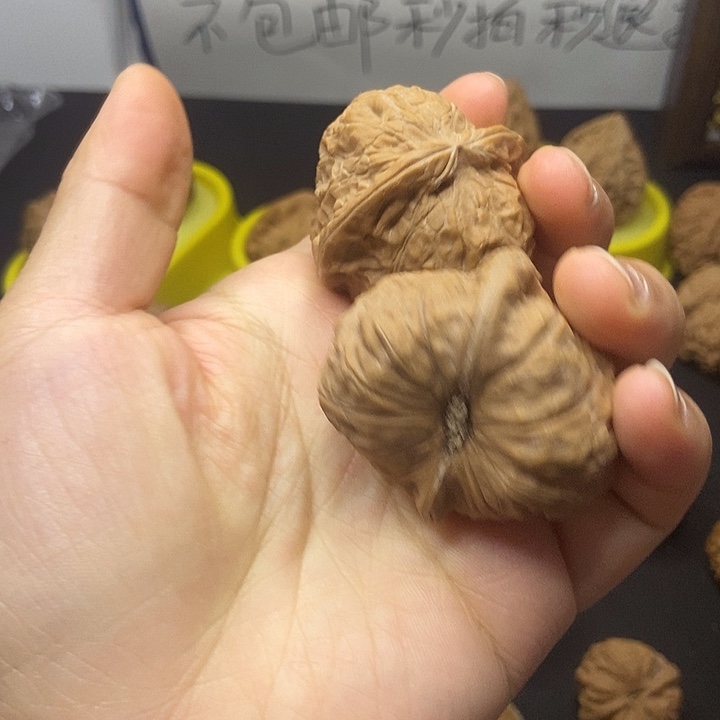 文玩核桃   南瓜墩