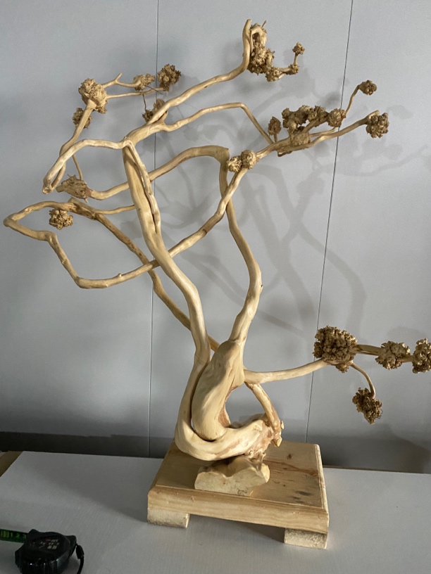 天然黄杨木榴一体精品摆件高83宽68办公室茶室装饰品