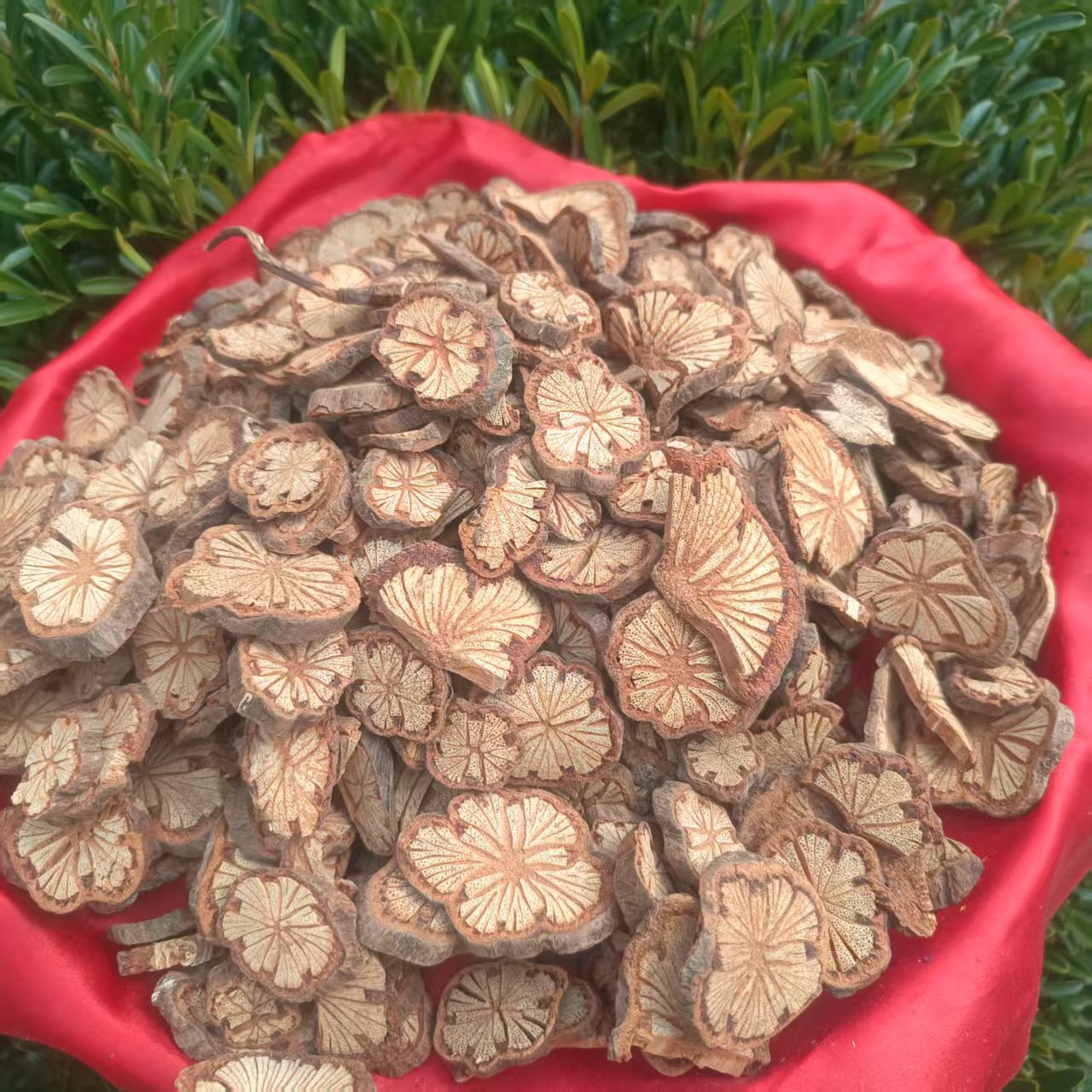 1【血-塞-通】净含量：250-1000g【小田现收】