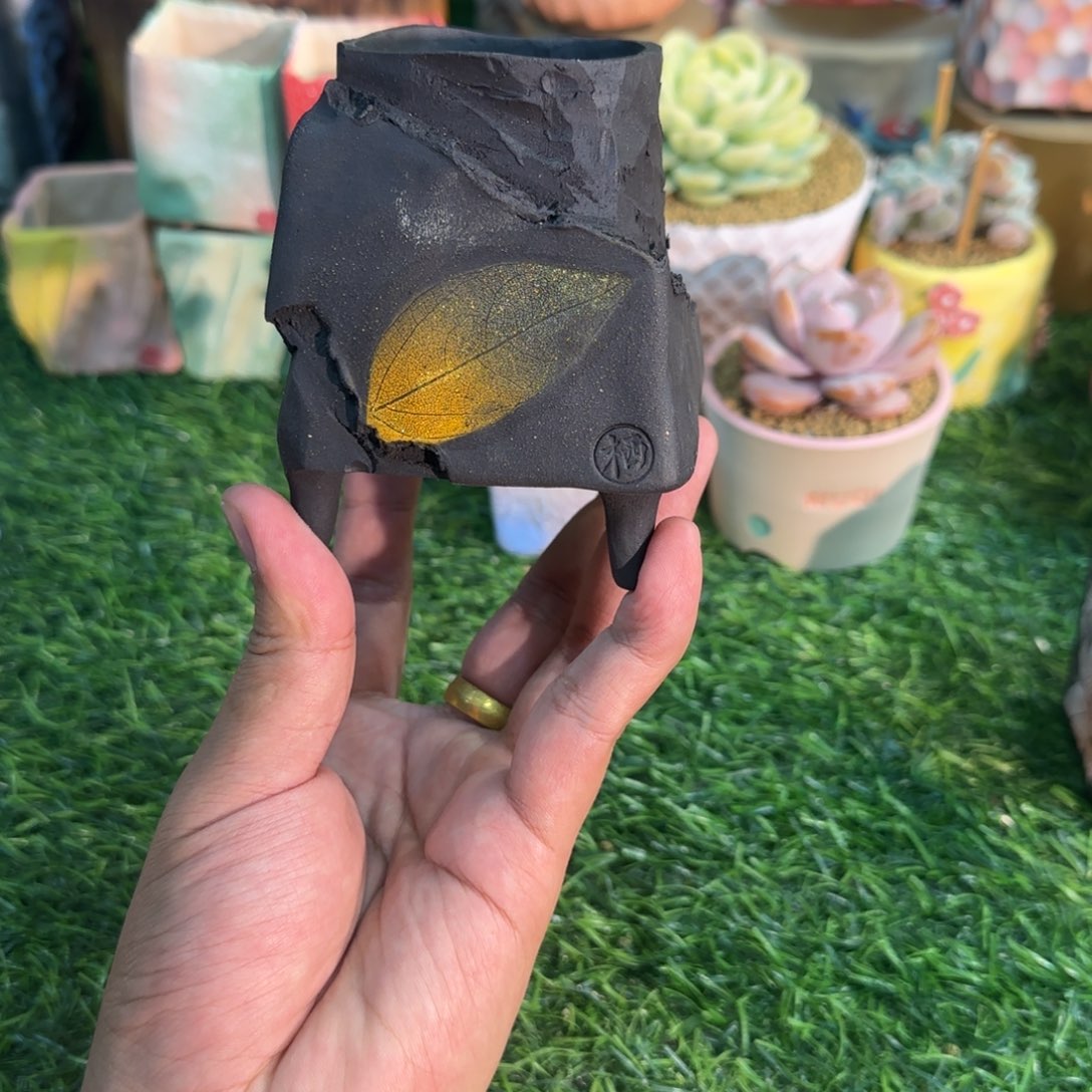 ****影凄凄切切地在一起了吗哈哈笑的