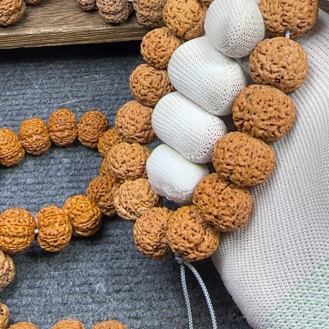 菩提老*金刚菩提21五星蜂王