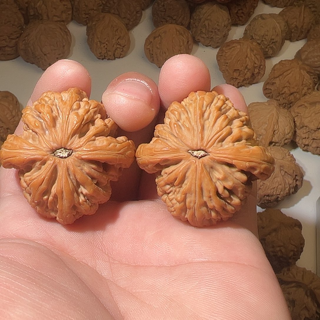 阳****猴头核桃吊坠文玩