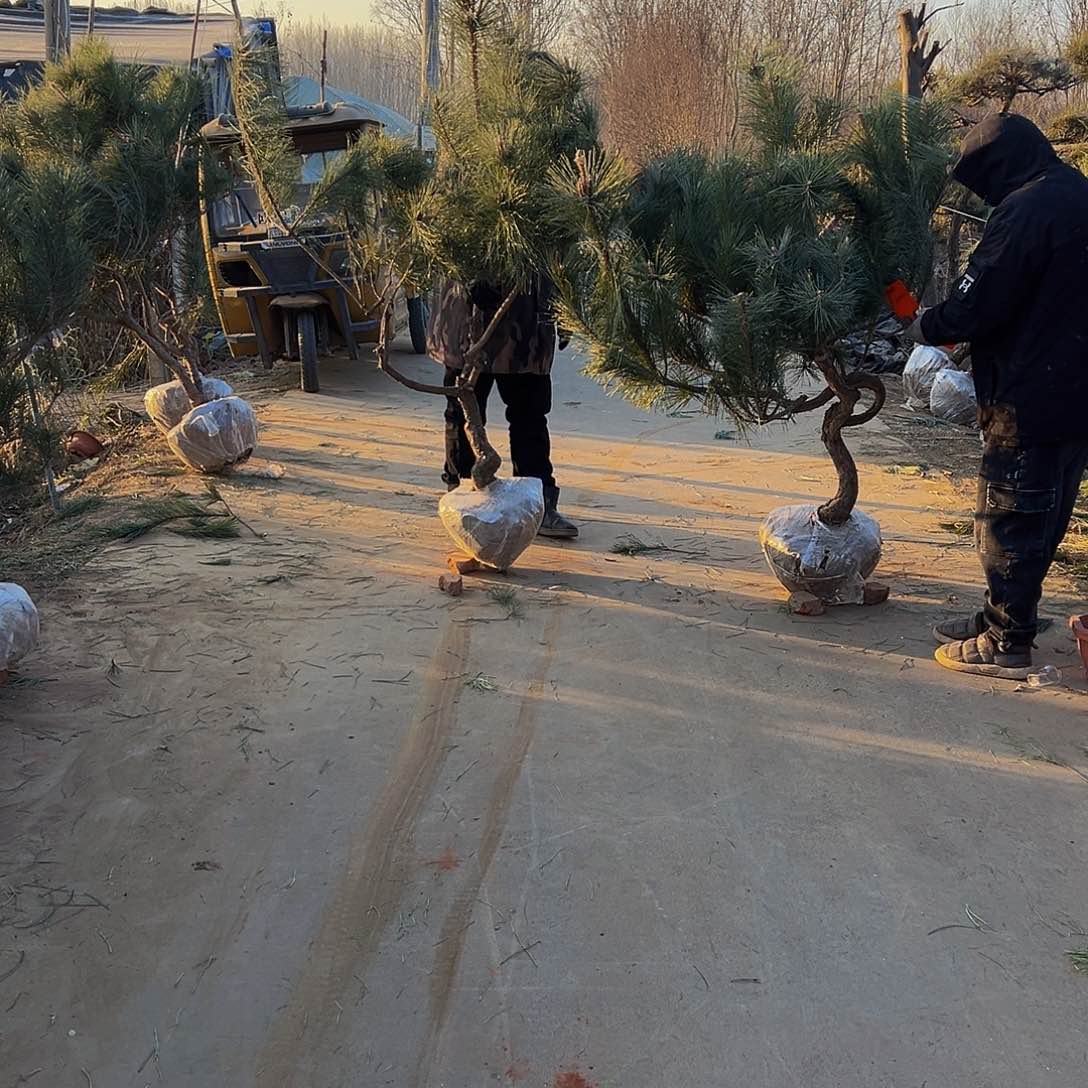 郭*旗88888888888888888