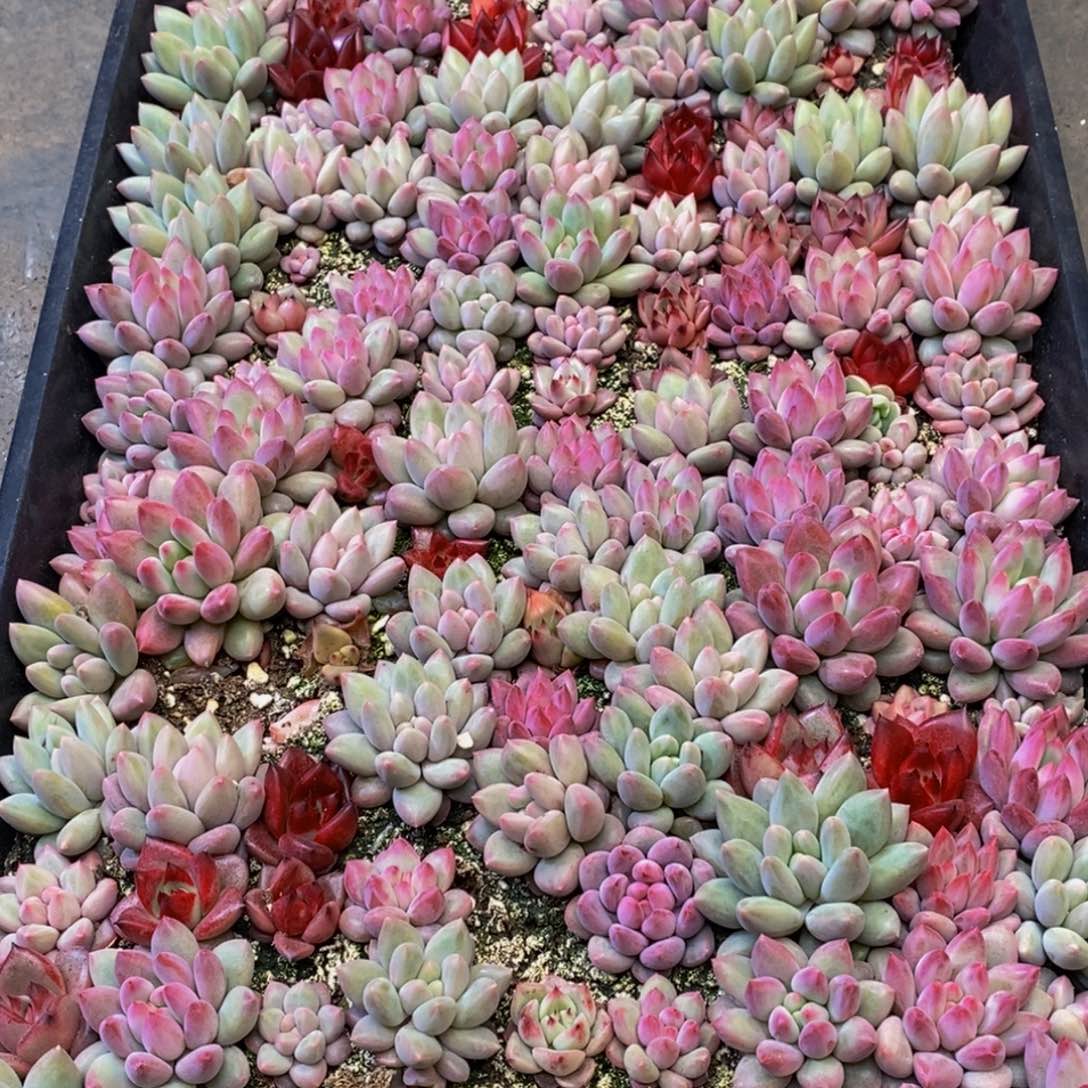 道***然529点多就到家啦。我