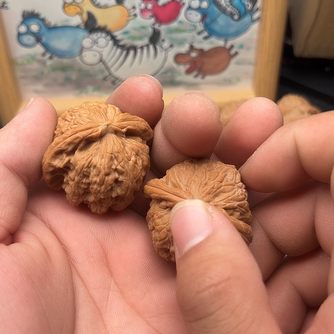全品无修白狮子，，，