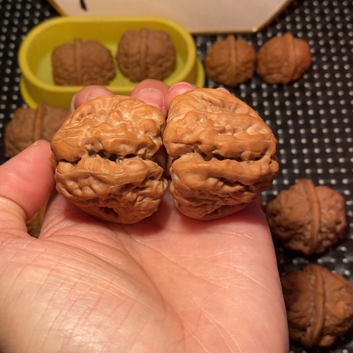 文玩核桃把件四深开细腰超大腿三角箭毒蛙王
