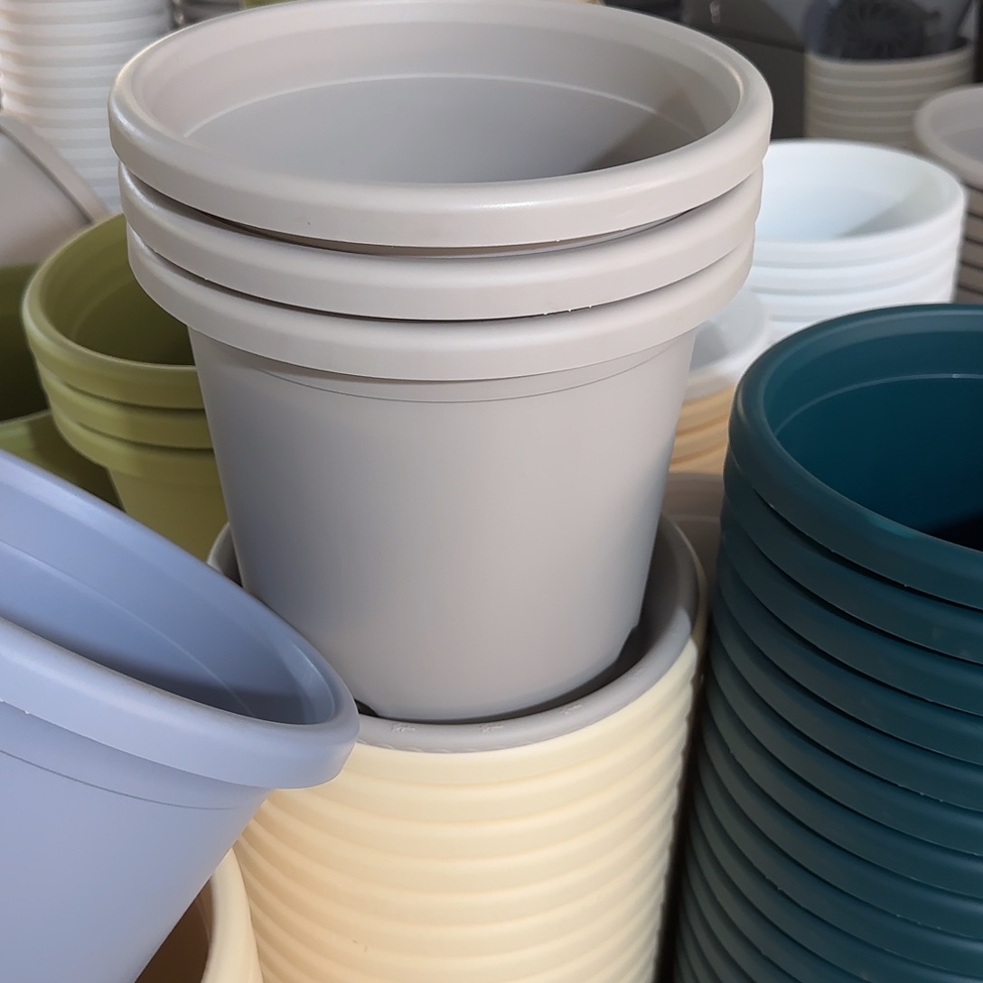 微瑕4号6个无托，灰白