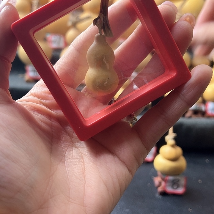 ʟ****ᴛ天然葫芦葫芦葫芦