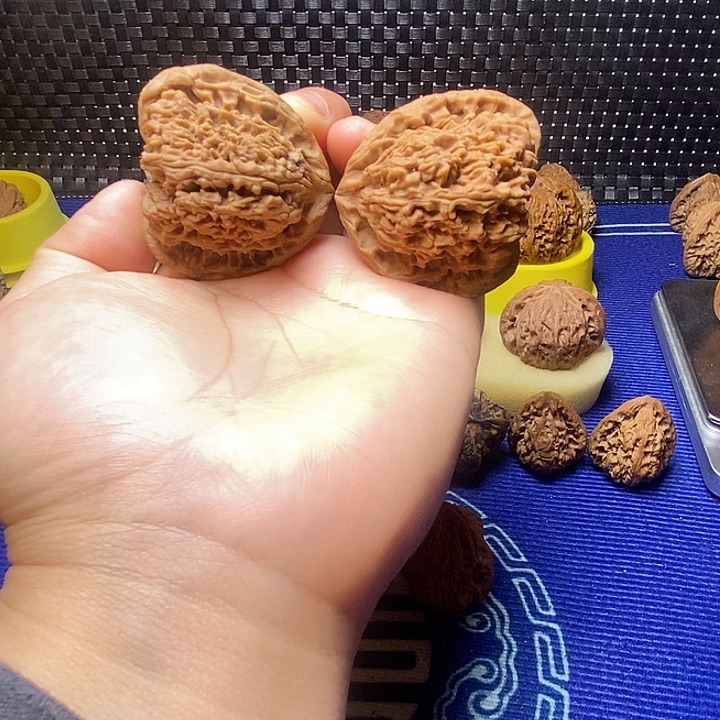 44三角南疆福利的价