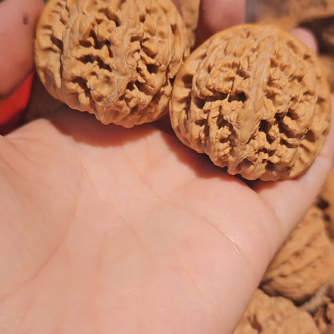 文玩核桃吊坠42粗筋