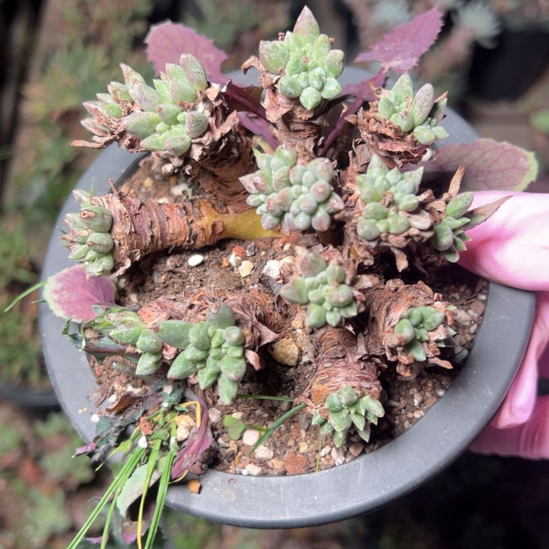 2814哈哈哈哈哈哈哈哈