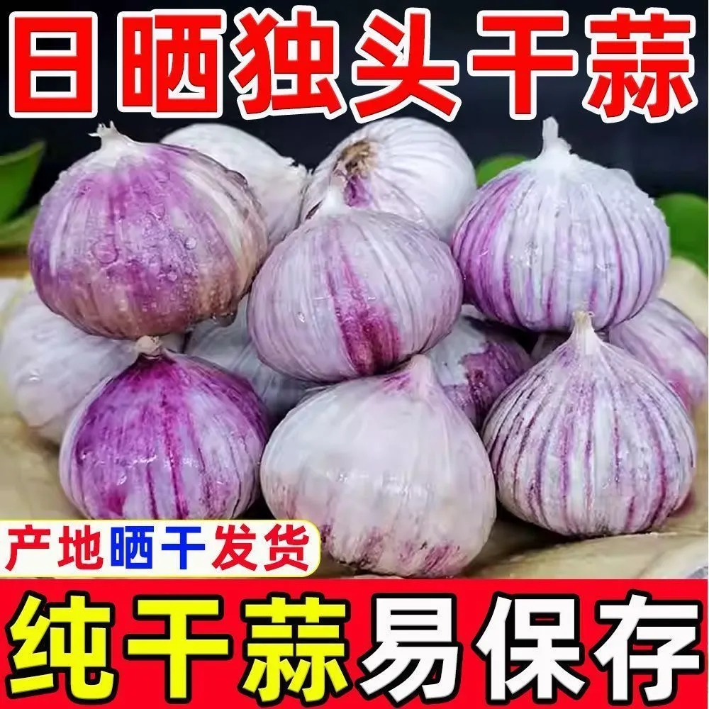 2025年新蒜干蒜精品紫皮独头蒜独蒜批发新鲜蔬菜紫皮大蒜红皮独蒜