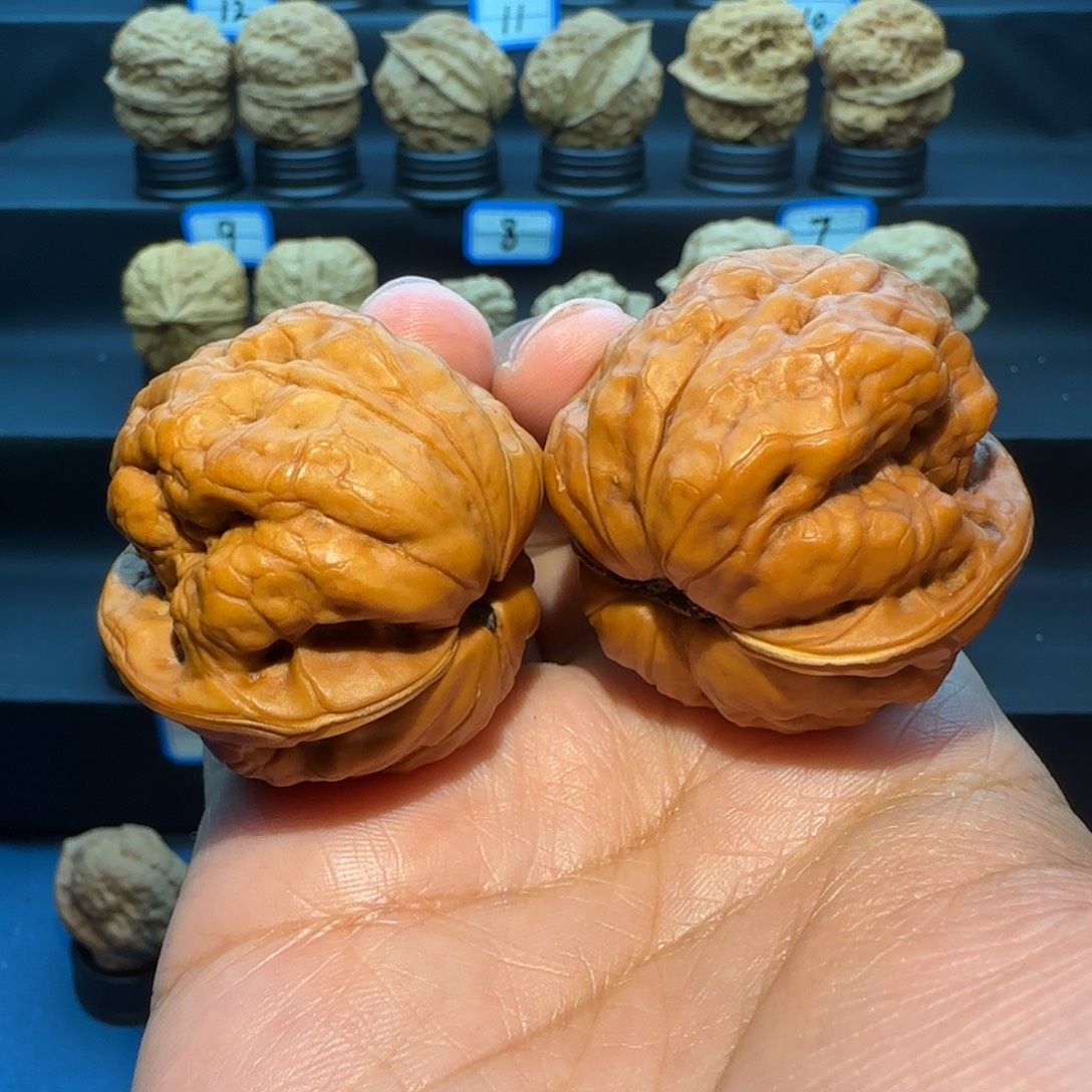 合***德桃核把件蟾祖核桃