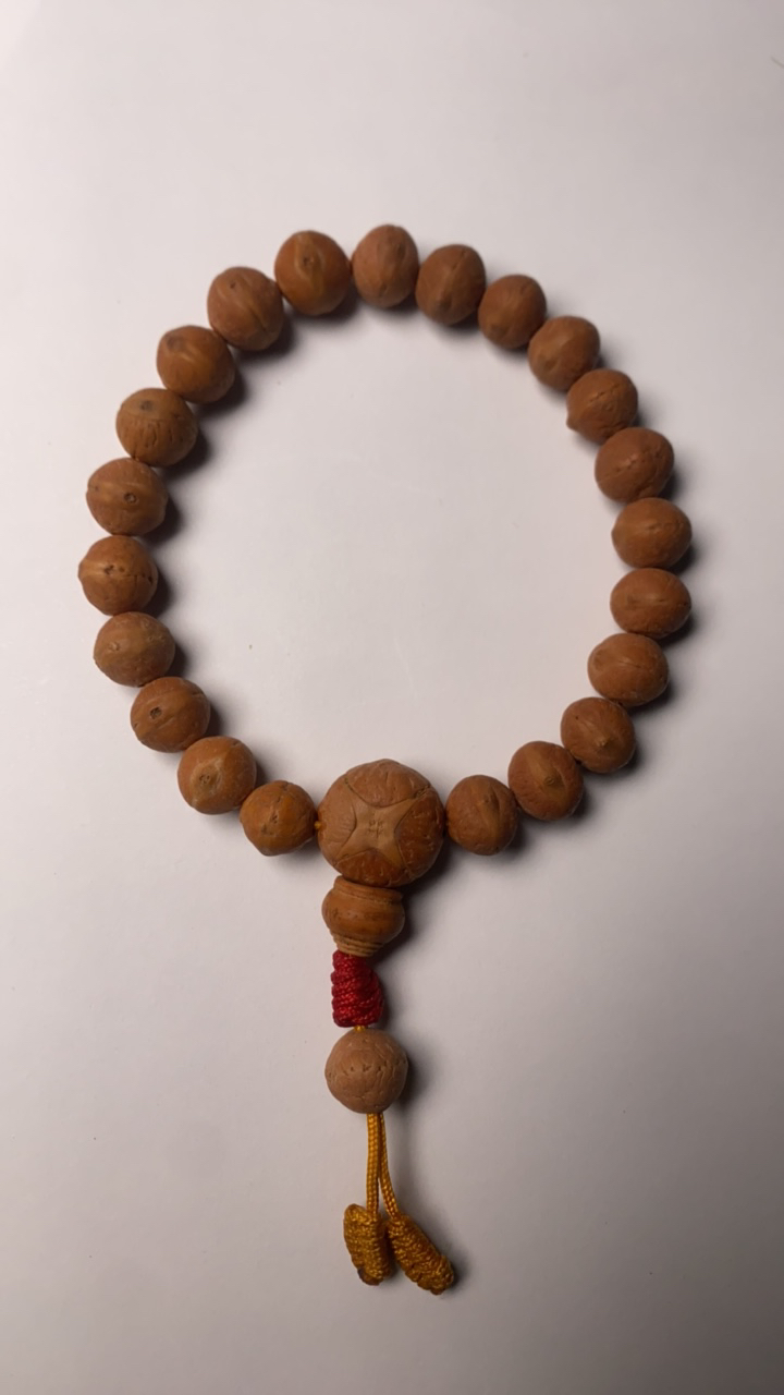 福利，2024尼泊尔凤眼菩提，10.8～11.3mm实心籽