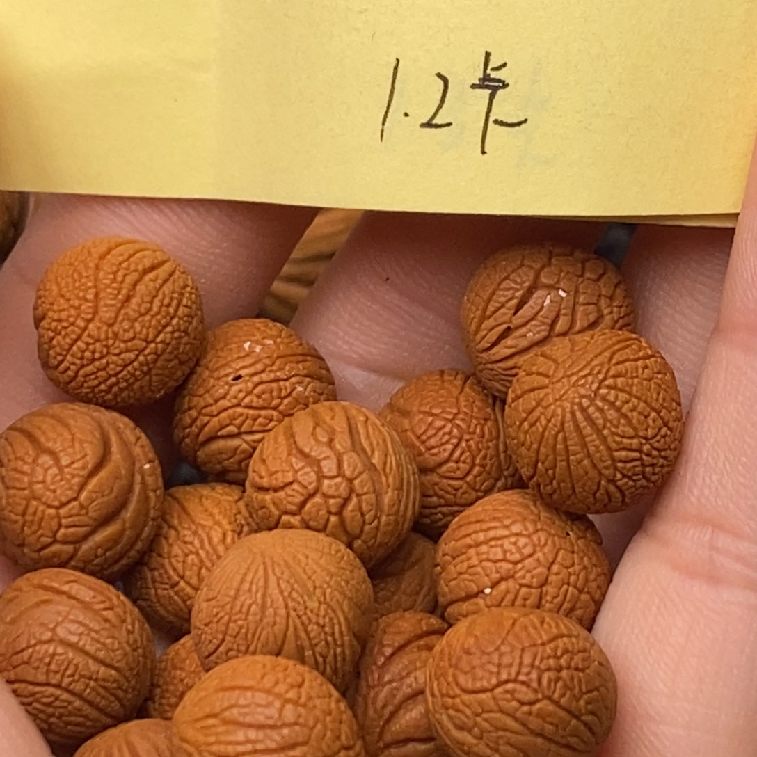 秦岭山脉龙纹桃核20