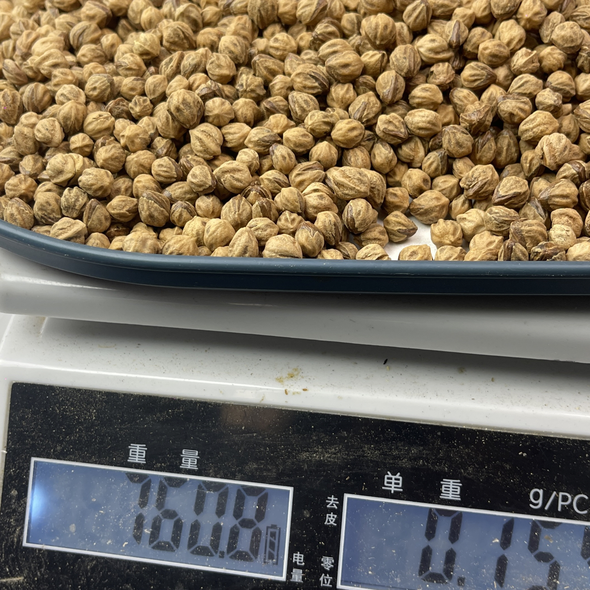 760克热振顺纹鬼脸红芽柏香籽散籽TG2157