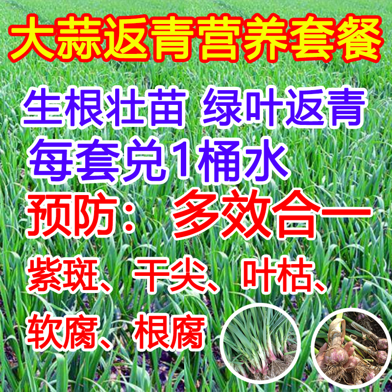 大蒜返青营养套餐