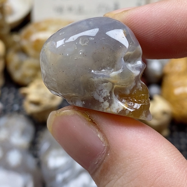 颈饰未镶嵌硅化珊瑚（珊瑚玉）小