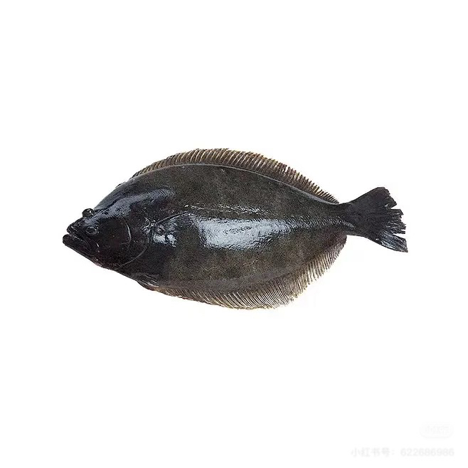 臻选鸦片鱼