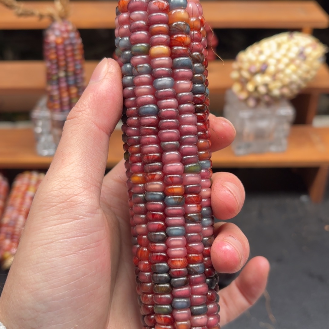 巧****七彩宝石文玩玉米