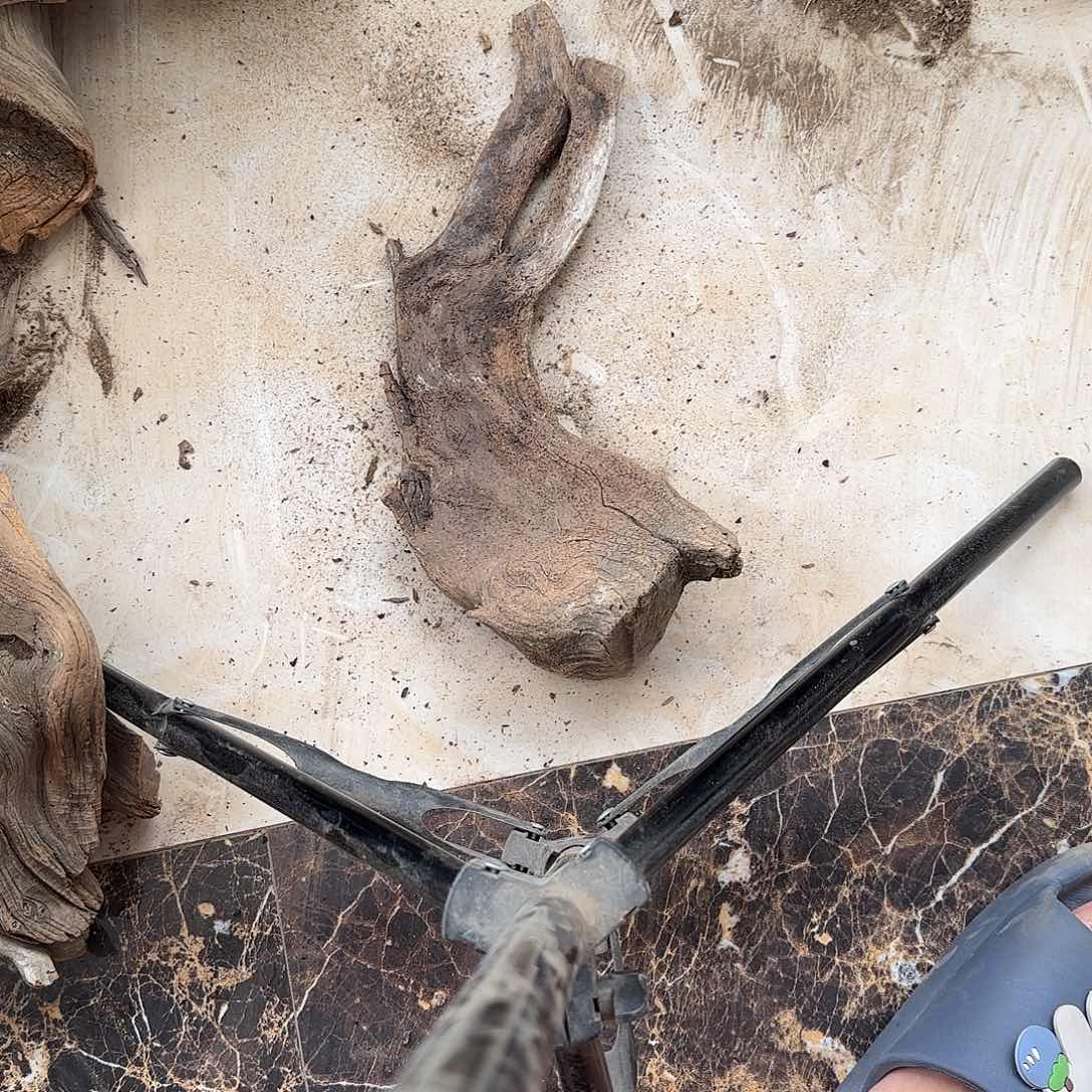 陈***尘柏木陈化到位坨坨疙瘩