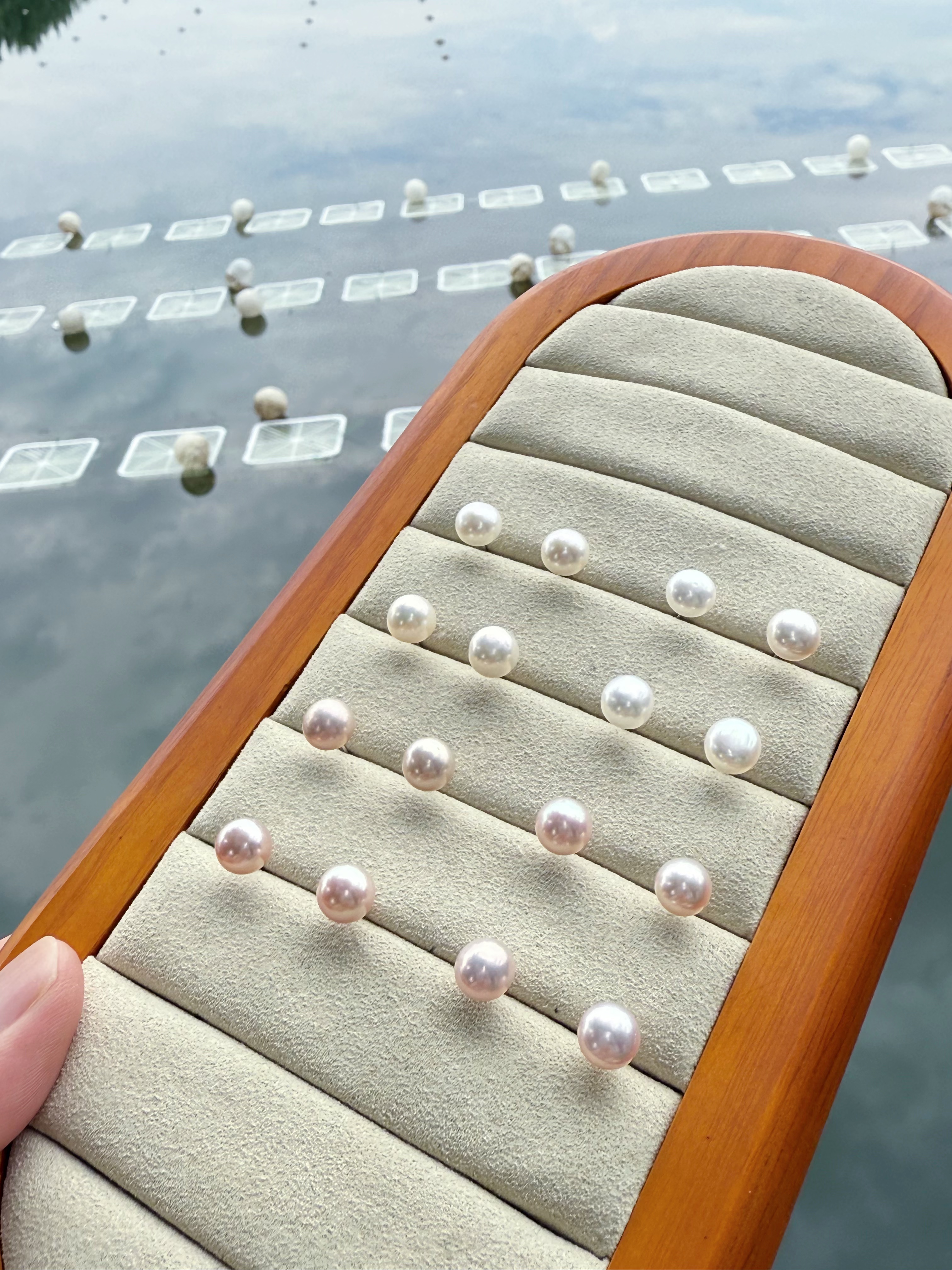 天花板极光 ▎无暇 淡水无核 珍珠约 7mm 耳钉 多对发2对