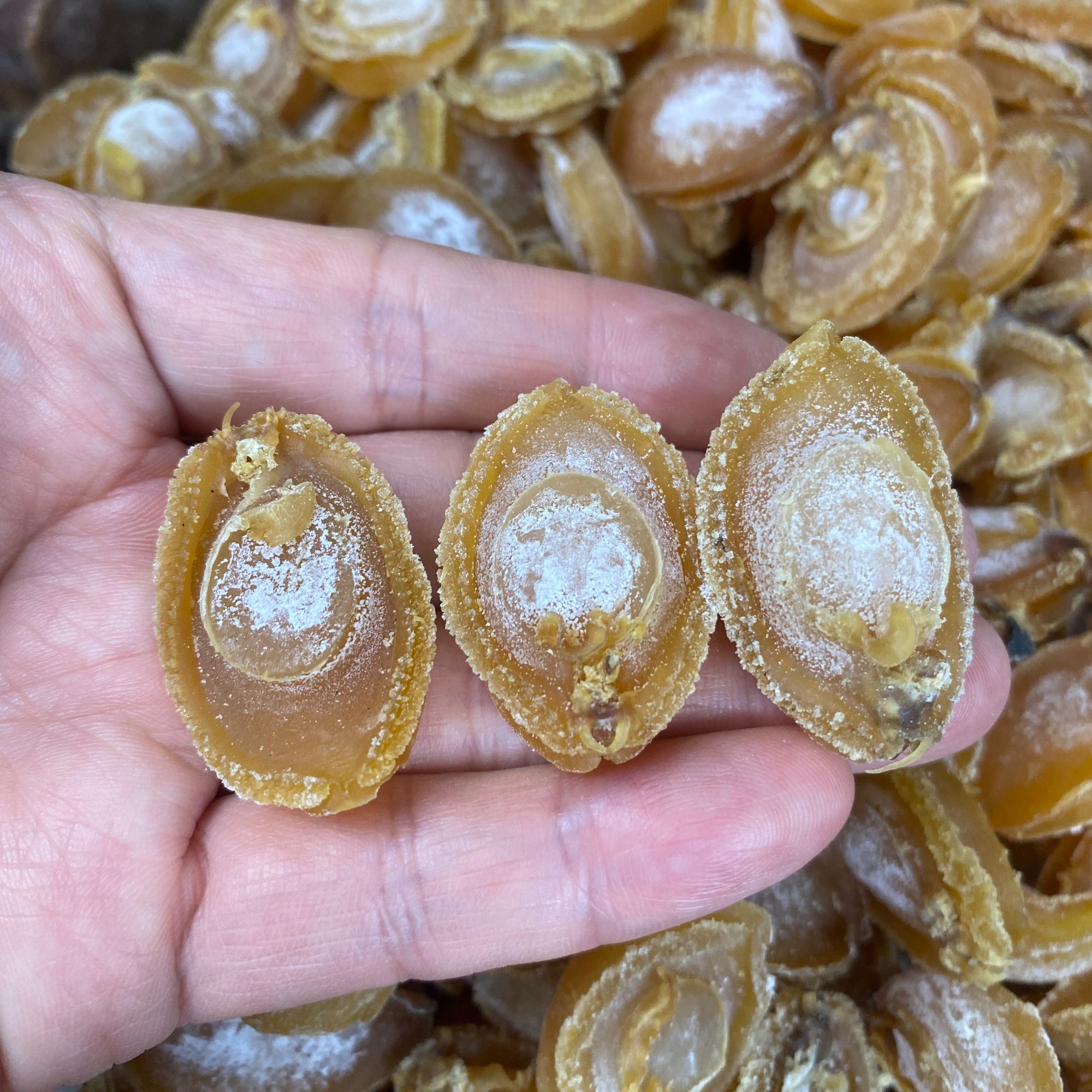 淡晒100头鲍鱼干煲汤煲粥包粽子包子红烧干净食材鲜味海鲜干货