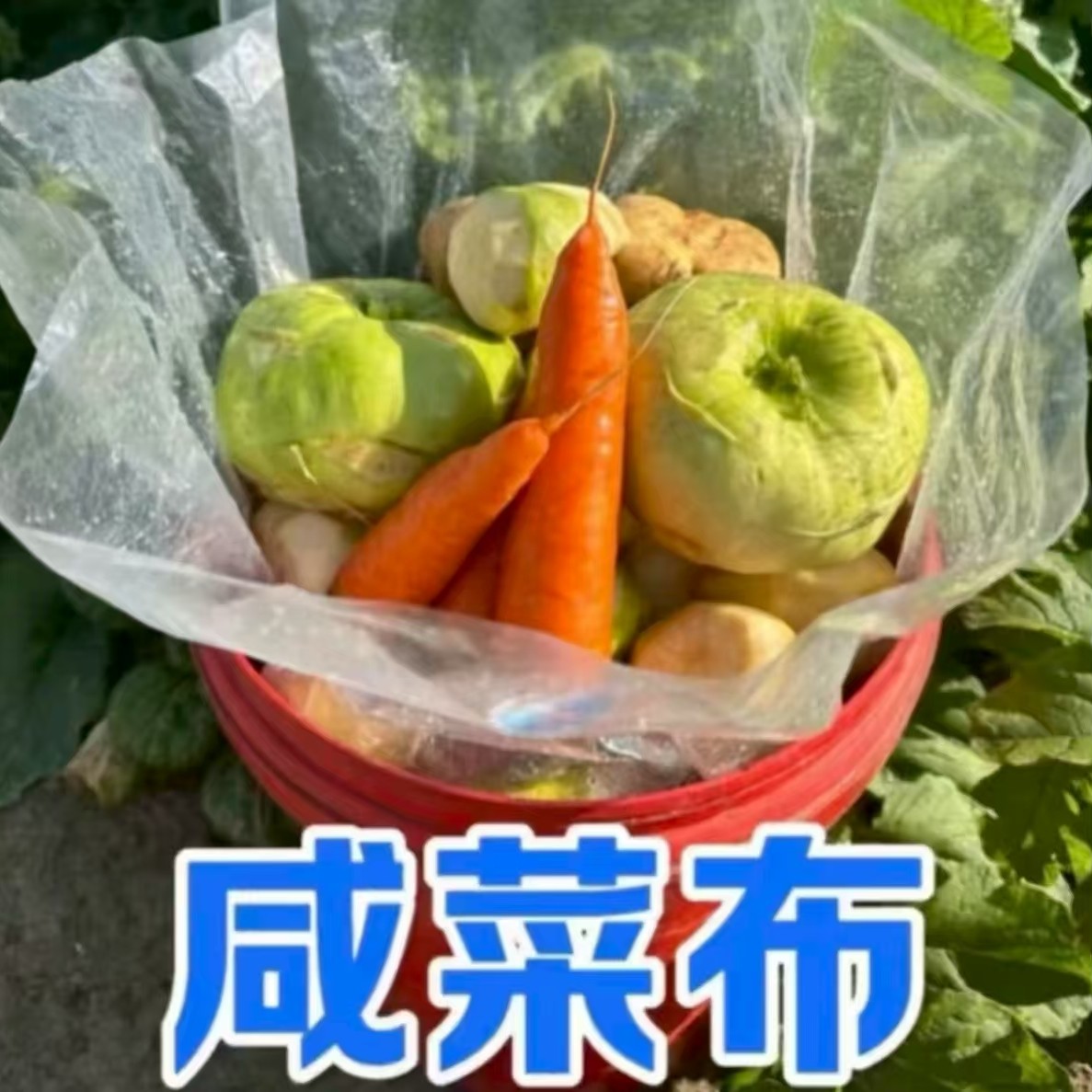 55*80厘米咸菜布拍一发二