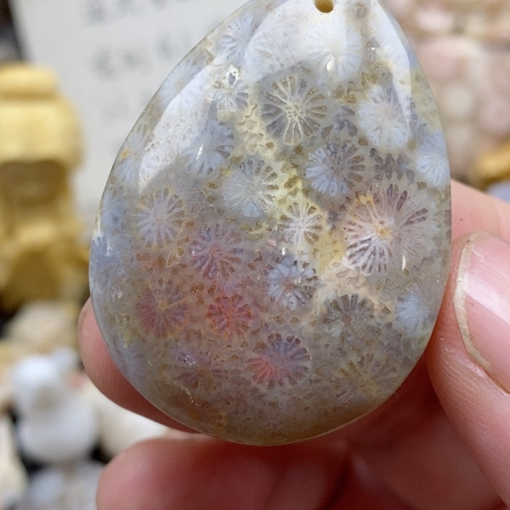 颈饰未镶嵌硅化珊瑚（珊瑚玉）