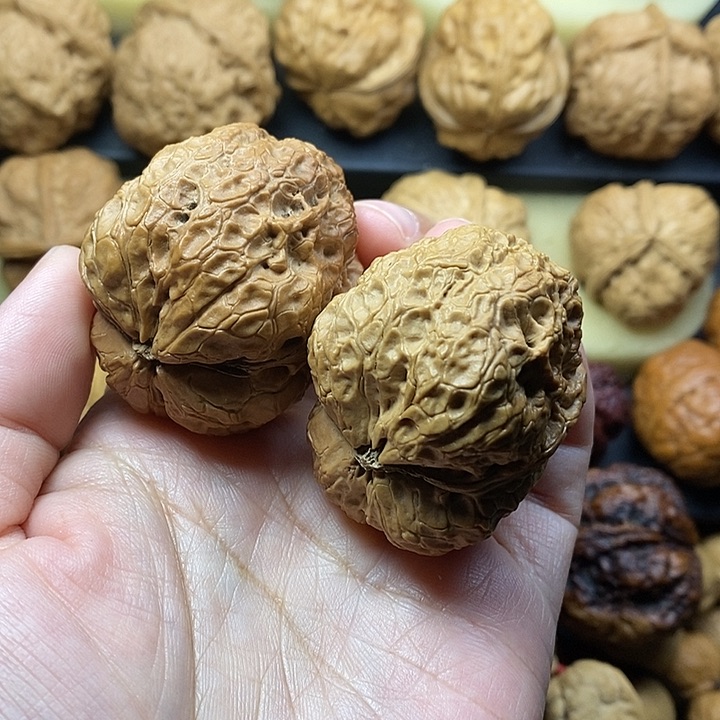 吊坠桃核霸王龙44尺