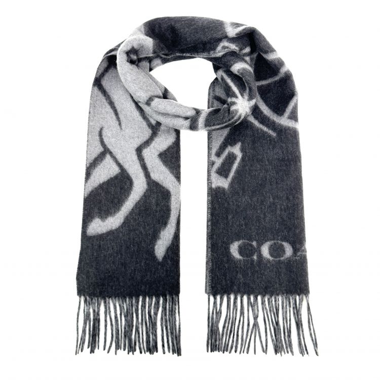 未使用/蔻驰/饰品/[251203NKNC]/CY3282974