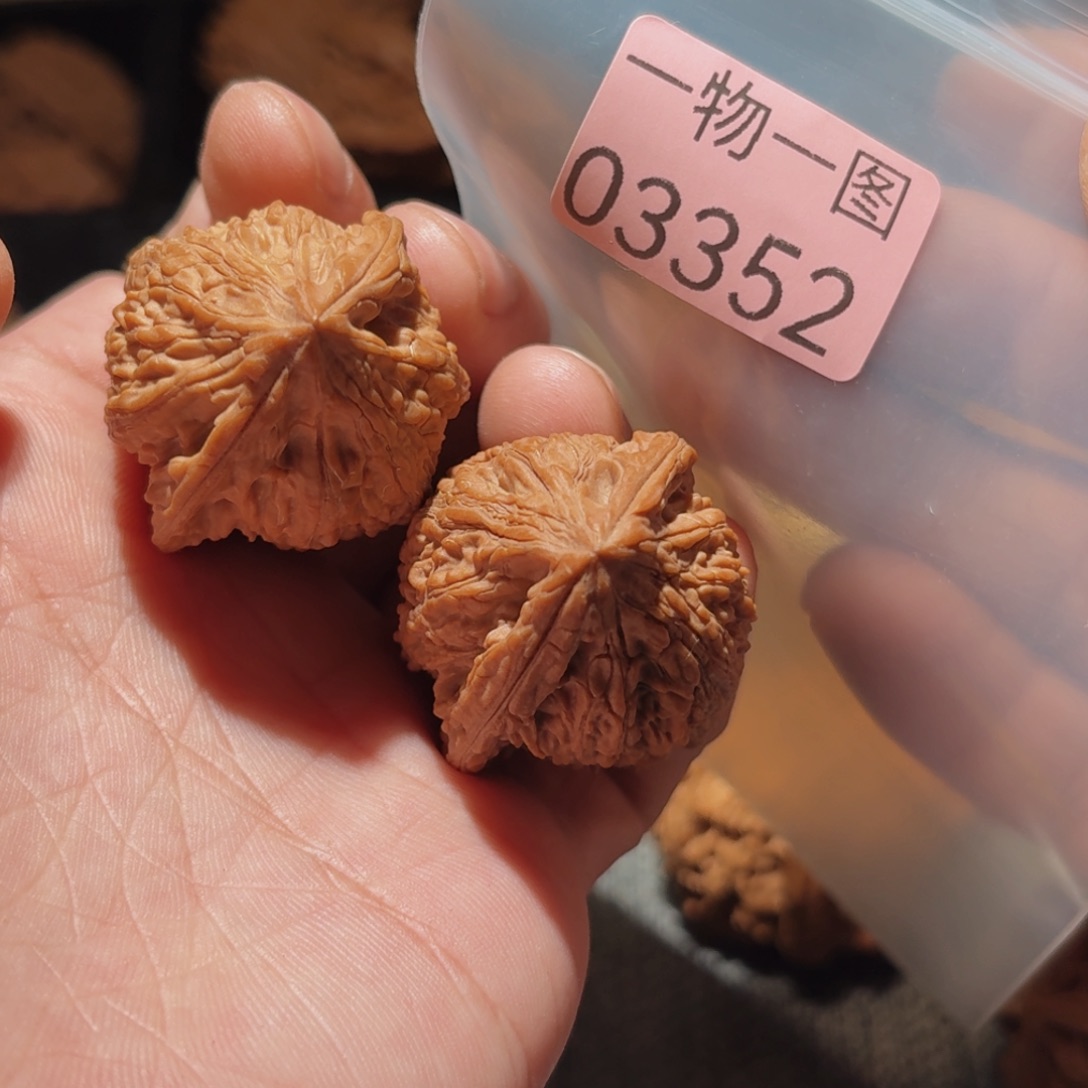 文玩核桃把件野鸡3352
