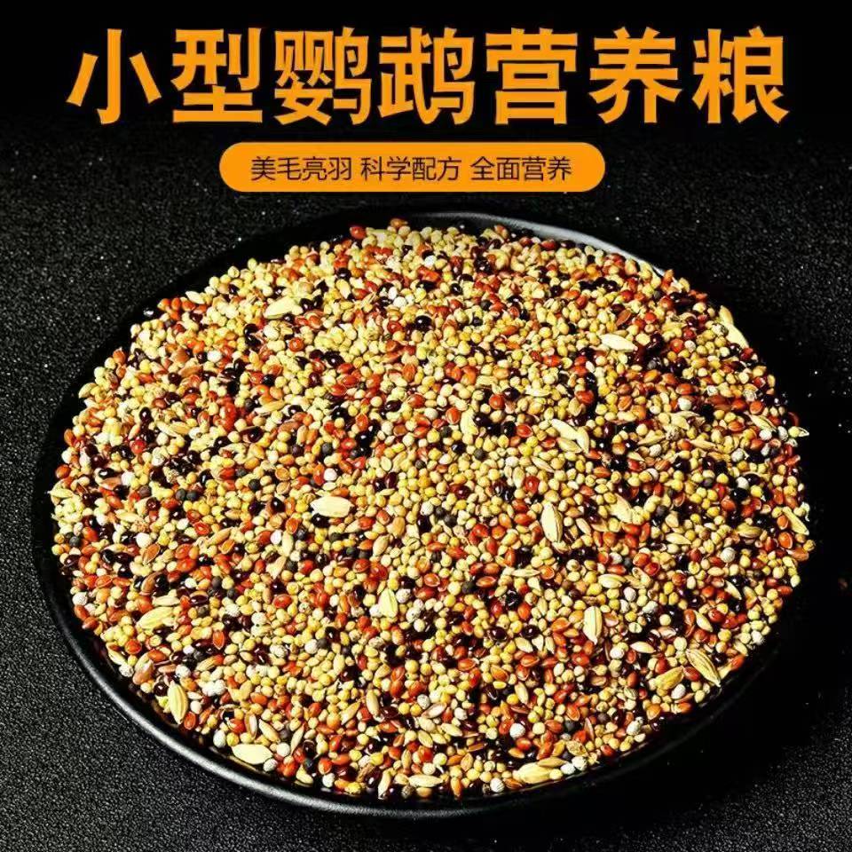 SIVON/喜言虎皮鹦鹉鸟宠物或鸟粮食