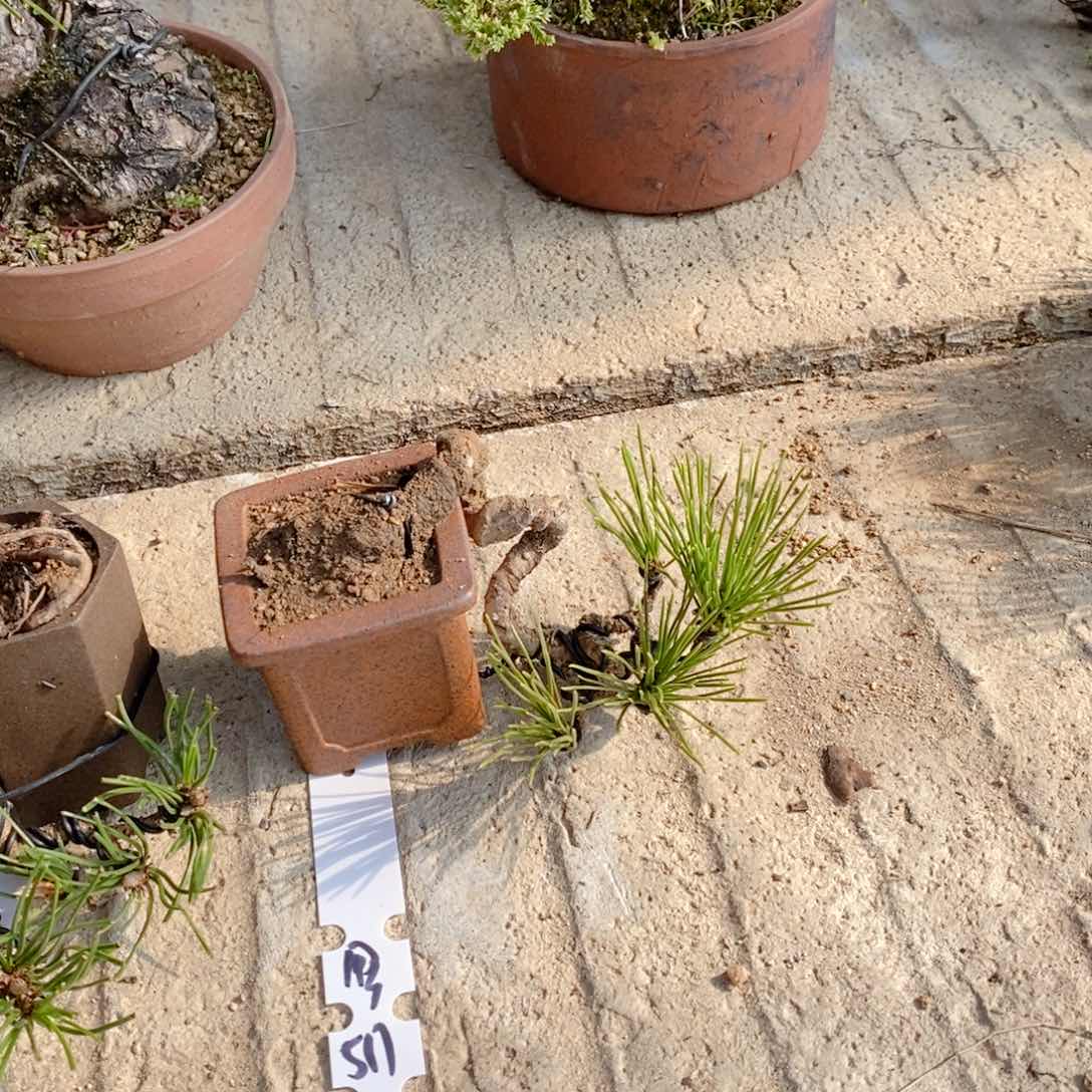 手工艺品琉璃用****1