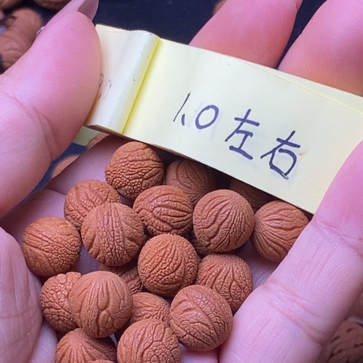 核桃秦岭龙纹桃核21颗