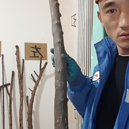 原木直播精品原木
