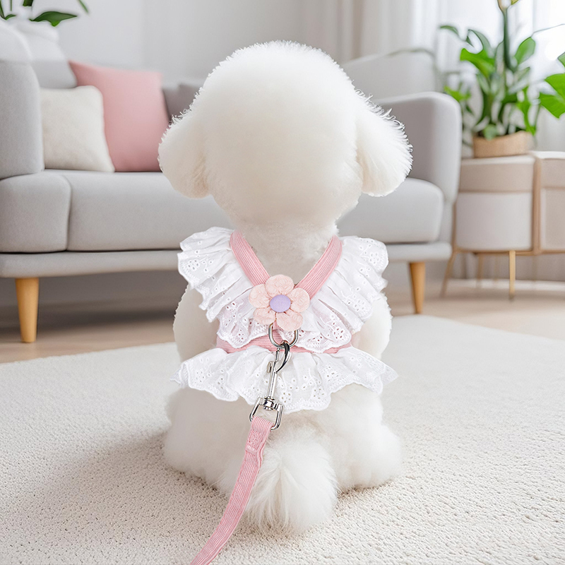 狗狗牵引绳夏季薄款泰迪比熊博美雪纳瑞小型犬jk裙宠物猫咪胸背带