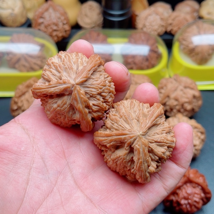 把件文玩核桃白狮子三棱44×43×42