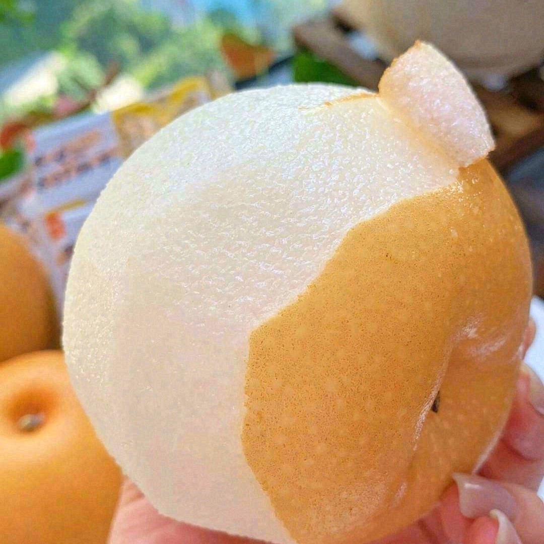 秋月梨（礼盒）