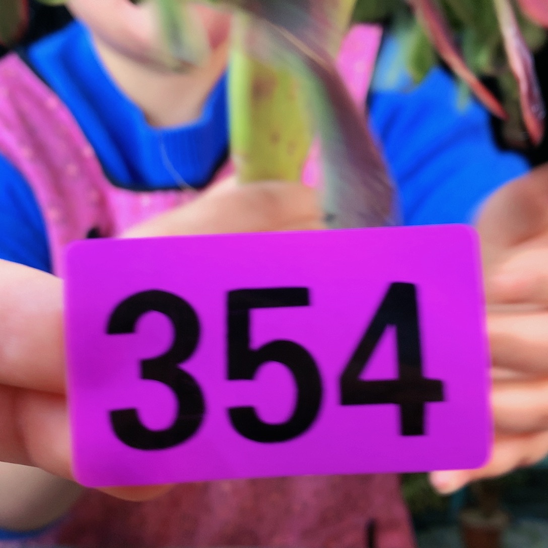 ssssssssssssssssssss354