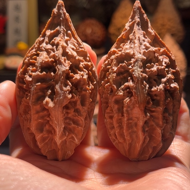 文玩核桃吊坠老树龙纹47