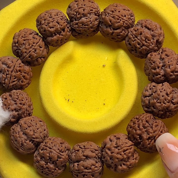 吊坠金刚菩提22尺寸梅花双龙