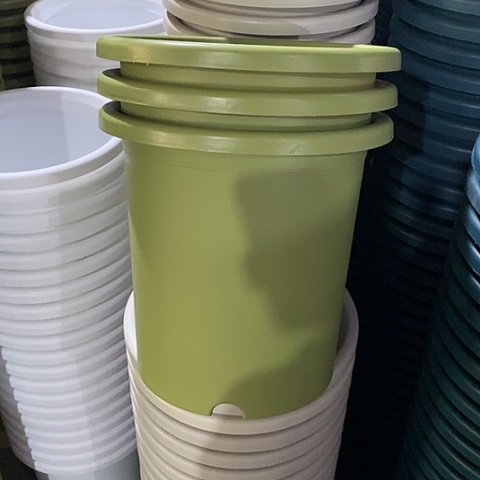 树脂特价7号3个无托果绿