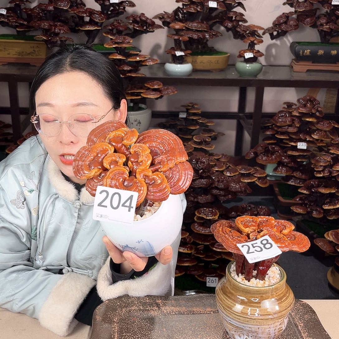 万事如意88888204