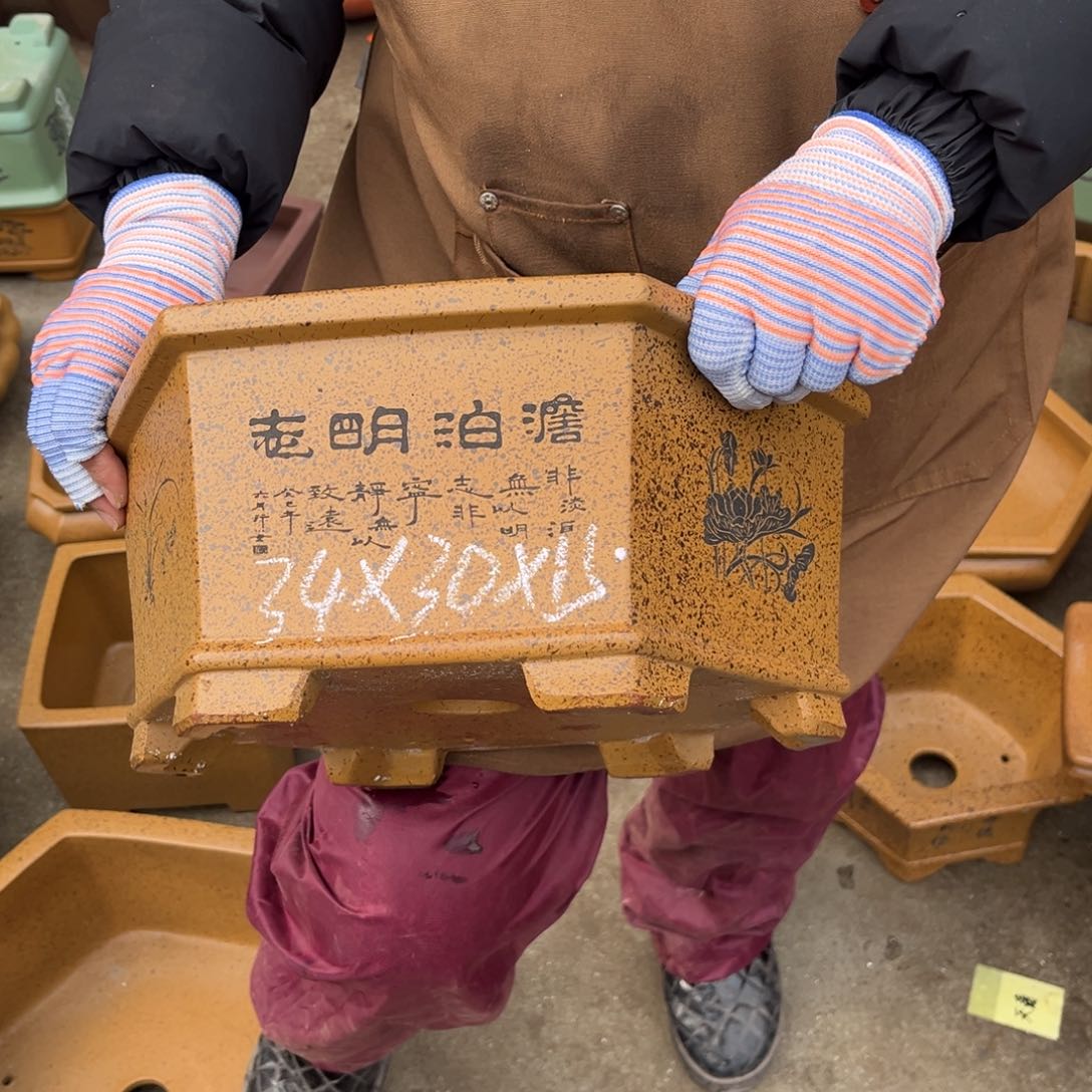 紫砂花盆盆景艺术